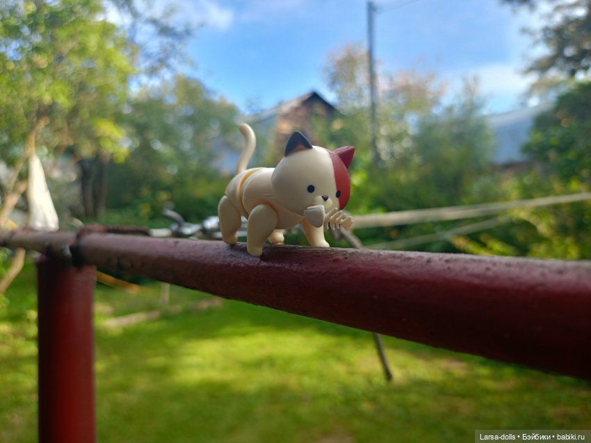 Мини-котик в поездке на дачу (фото 6)