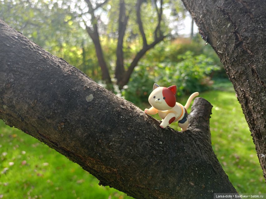 Мини-котик в поездке на дачу (фото 3)