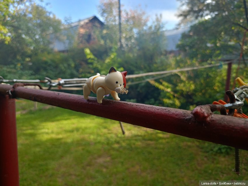 Мини-котик в поездке на дачу (фото 5)