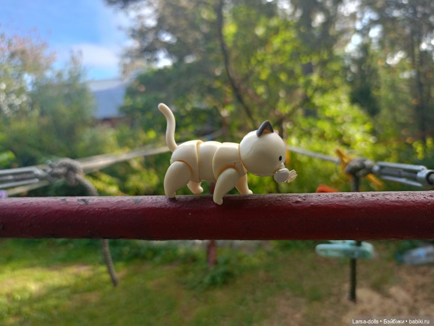 Мини-котик в поездке на дачу (фото 7)