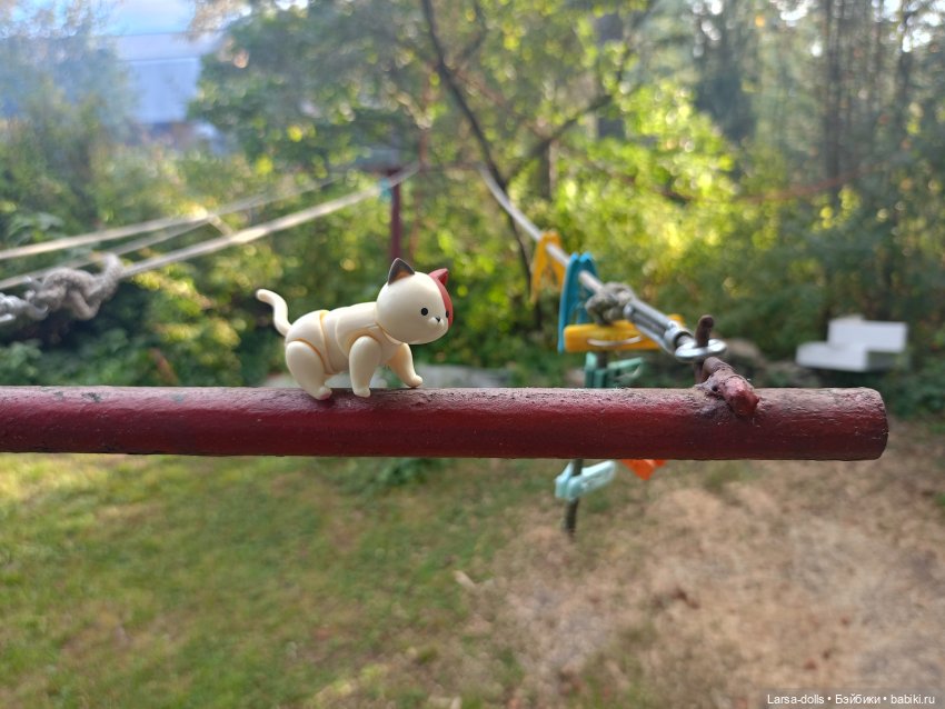 Мини-котик в поездке на дачу (фото 8)