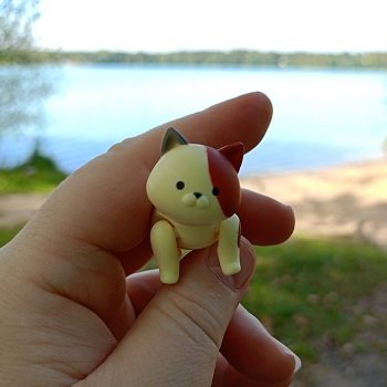 Мини-котик в поездке на дачу