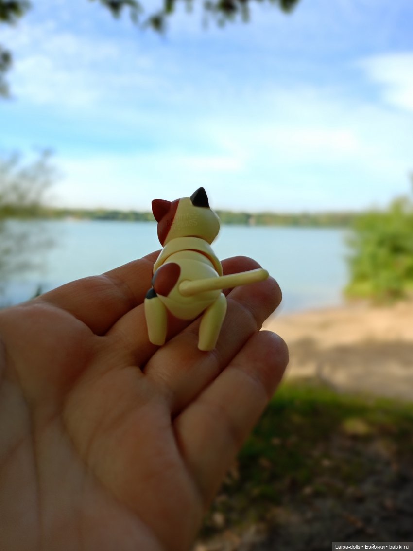 Мини-котик в поездке на дачу