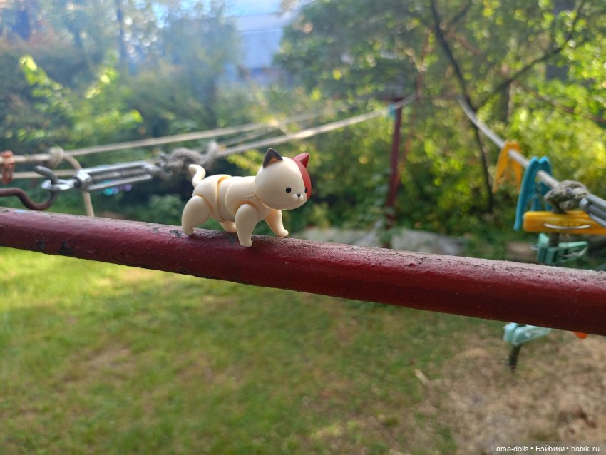 Мини-котик в поездке на дачу (фото 9)