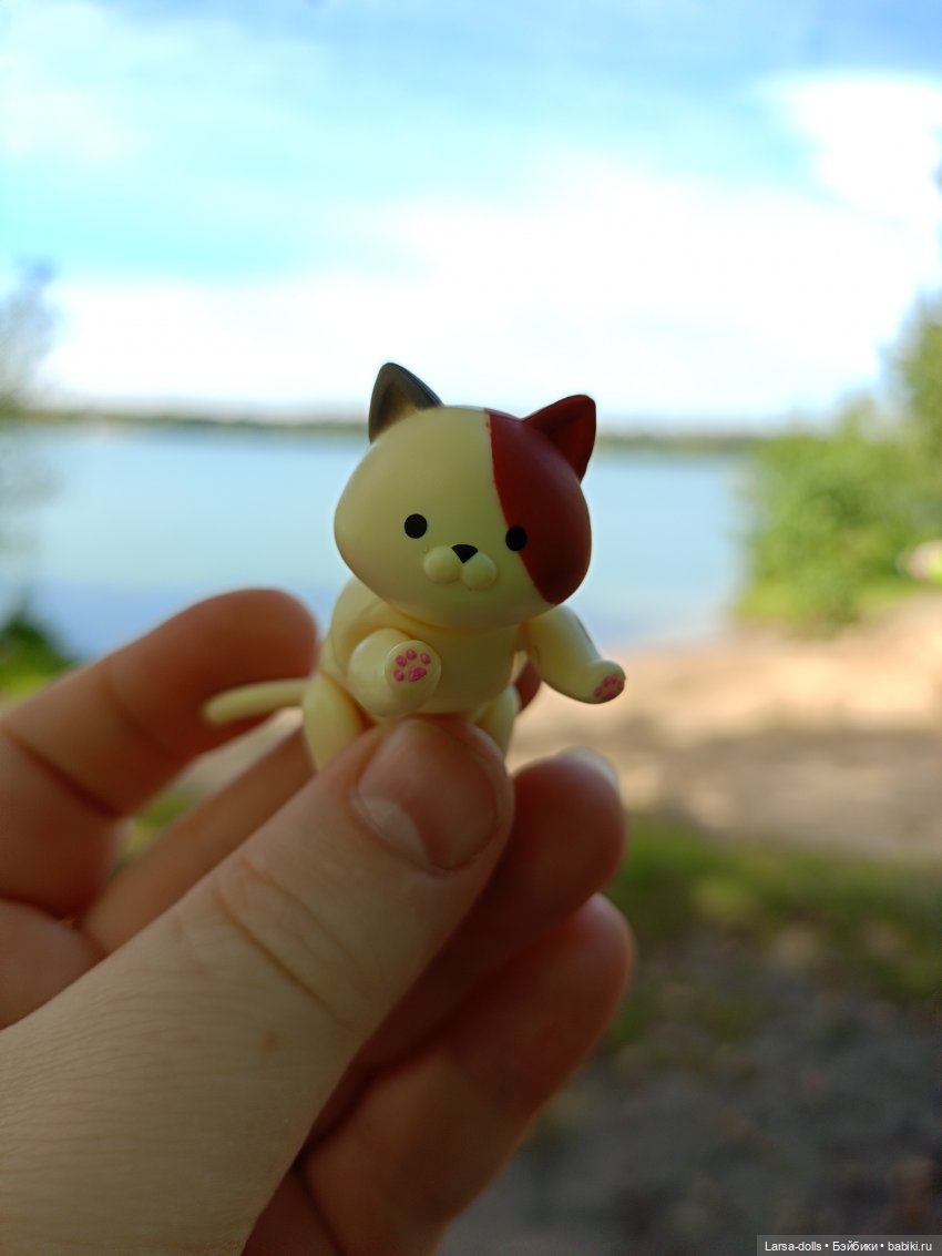 Мини-котик в поездке на дачу