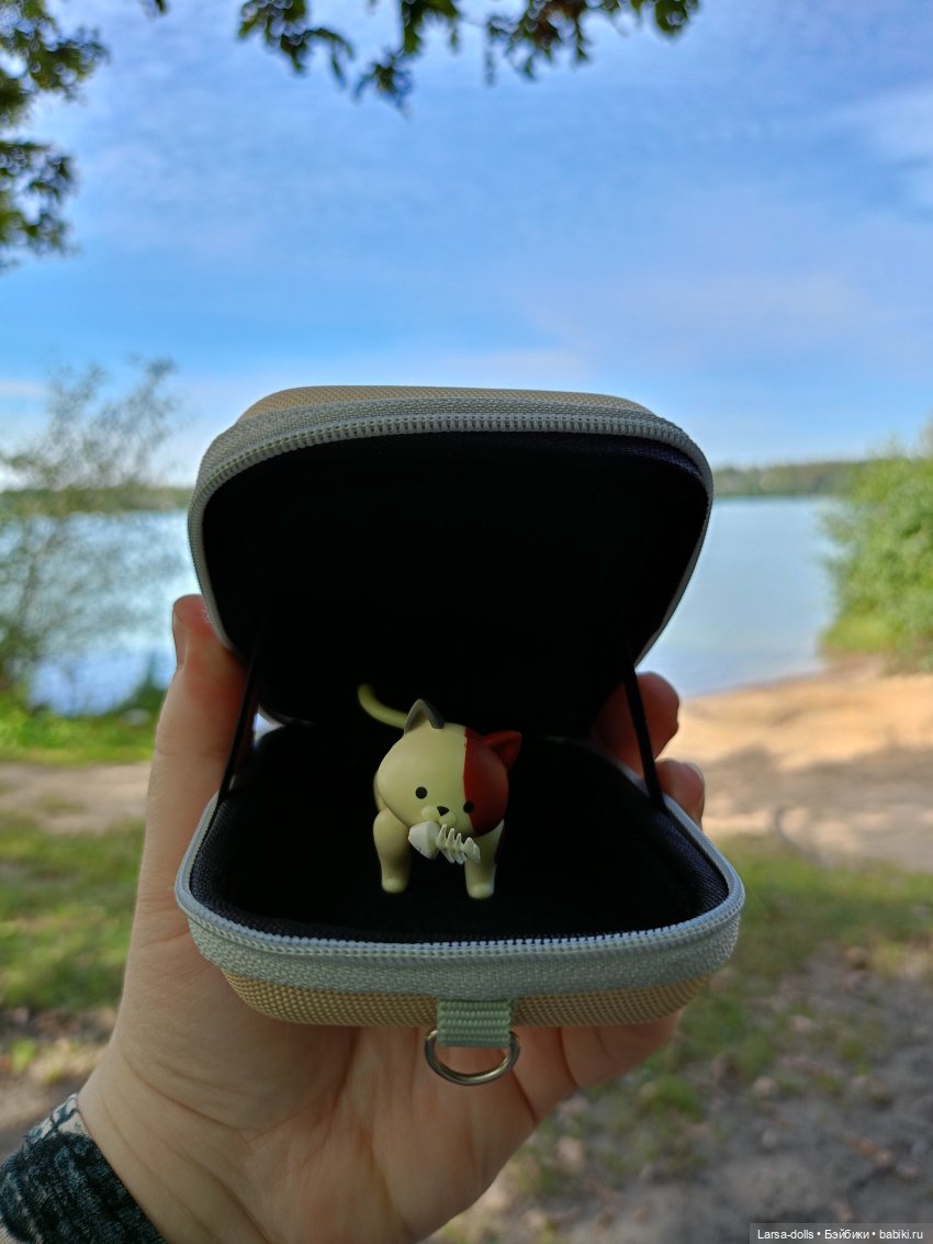 Мини-котик в поездке на дачу