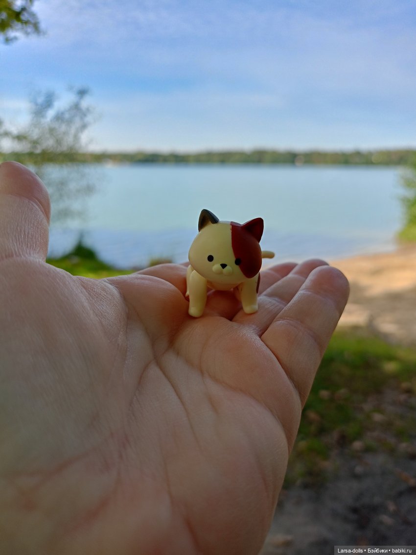 Мини-котик в поездке на дачу (фото 10)