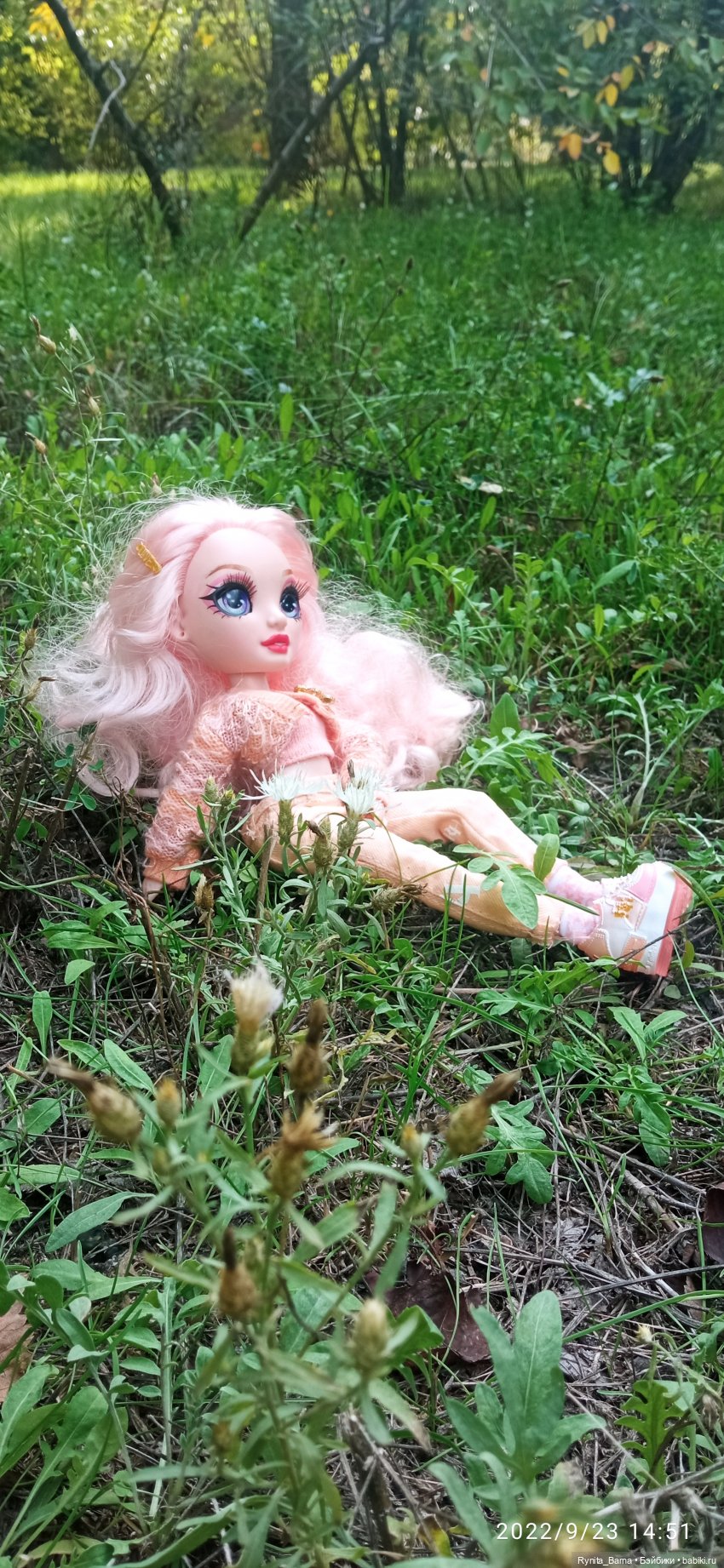 Розовая зефирка Белла | Бэйбики Розовая зефирка Белла — Куклы Rainbow High (Рейнбоу Хай