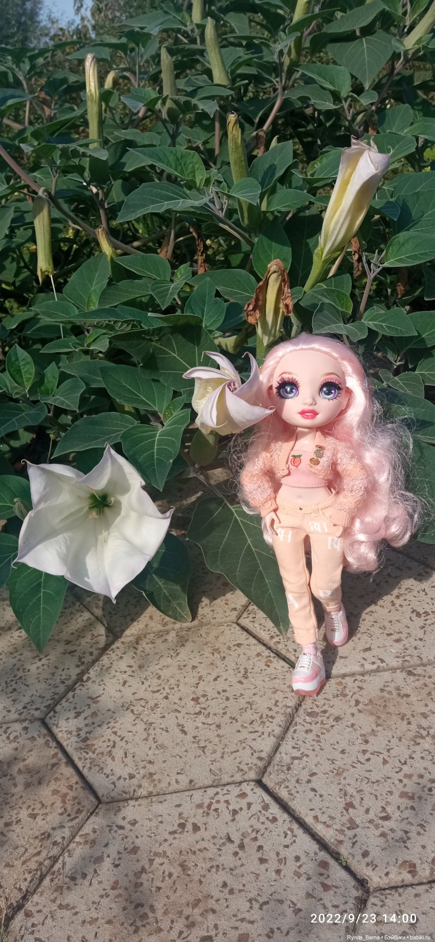 Розовая зефирка Белла | Бэйбики Розовая зефирка Белла — Куклы Rainbow High (Рейнбоу Хай