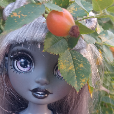 Прекрасная Луна среди бела дня