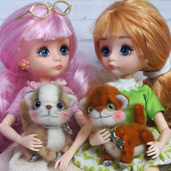 Девчата и котята