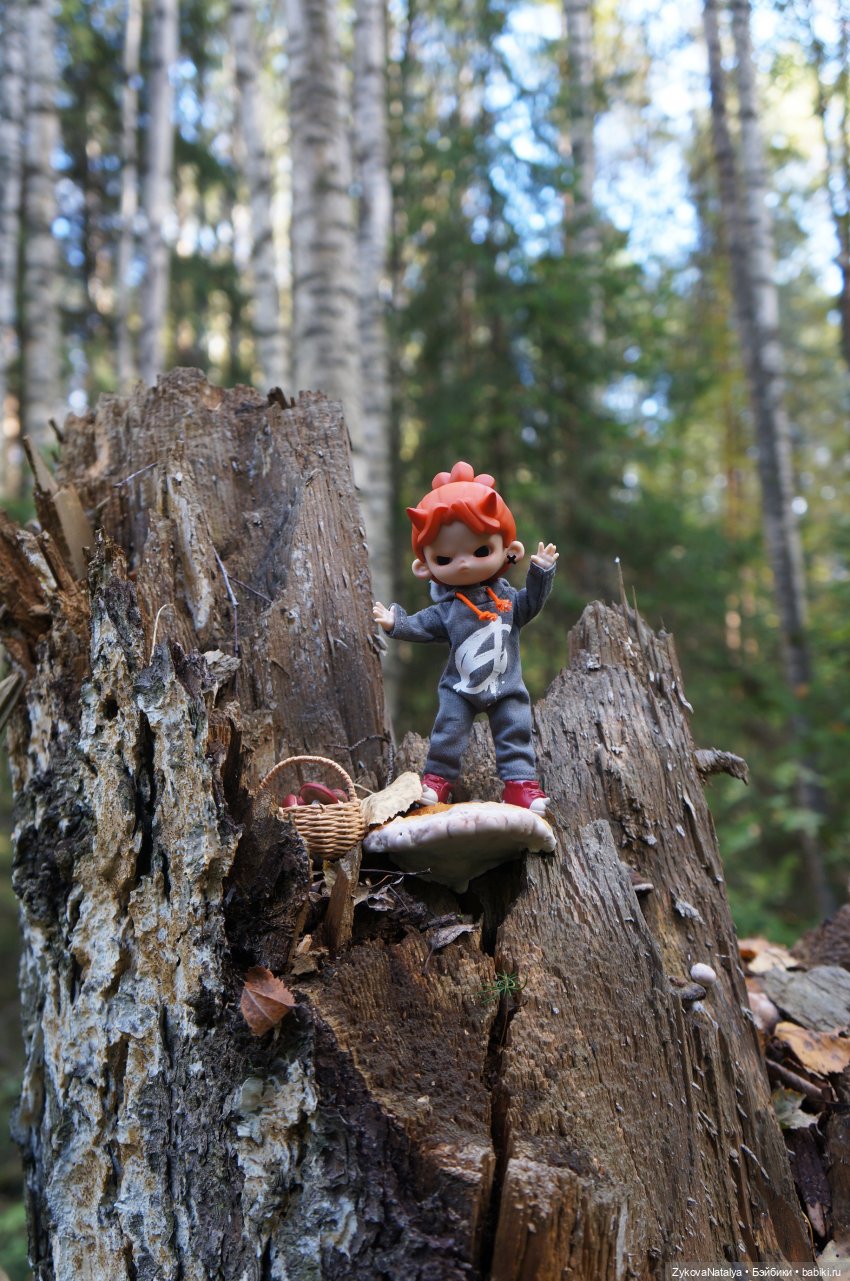 Чёртова прогулка))) — Куклы Penny's Box (Пенни Бокс): кентавры Antu (фото 9)