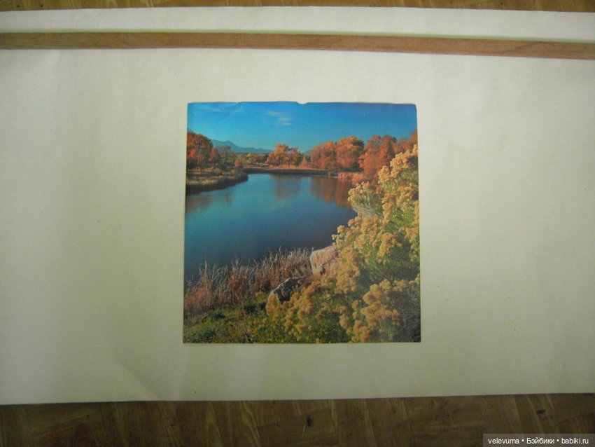 Декорация с зеленью — Разное