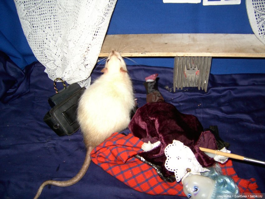 Как Художник на Августфесте роль получил (фото 3)