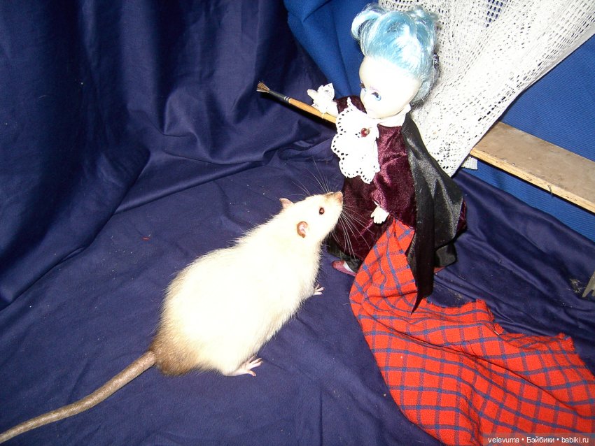 Как Художник на Августфесте роль получил (фото 2)