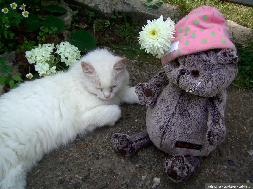 мягкие игрушки