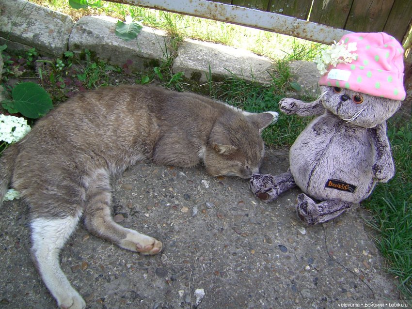 мягкие игрушки