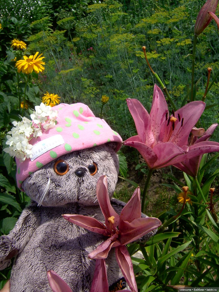 мягкие игрушки