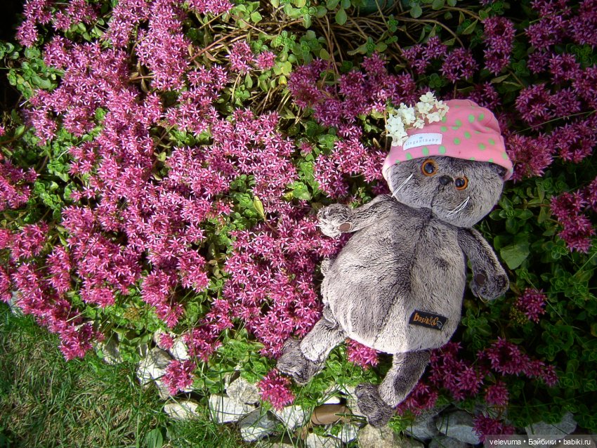 мягкие игрушки