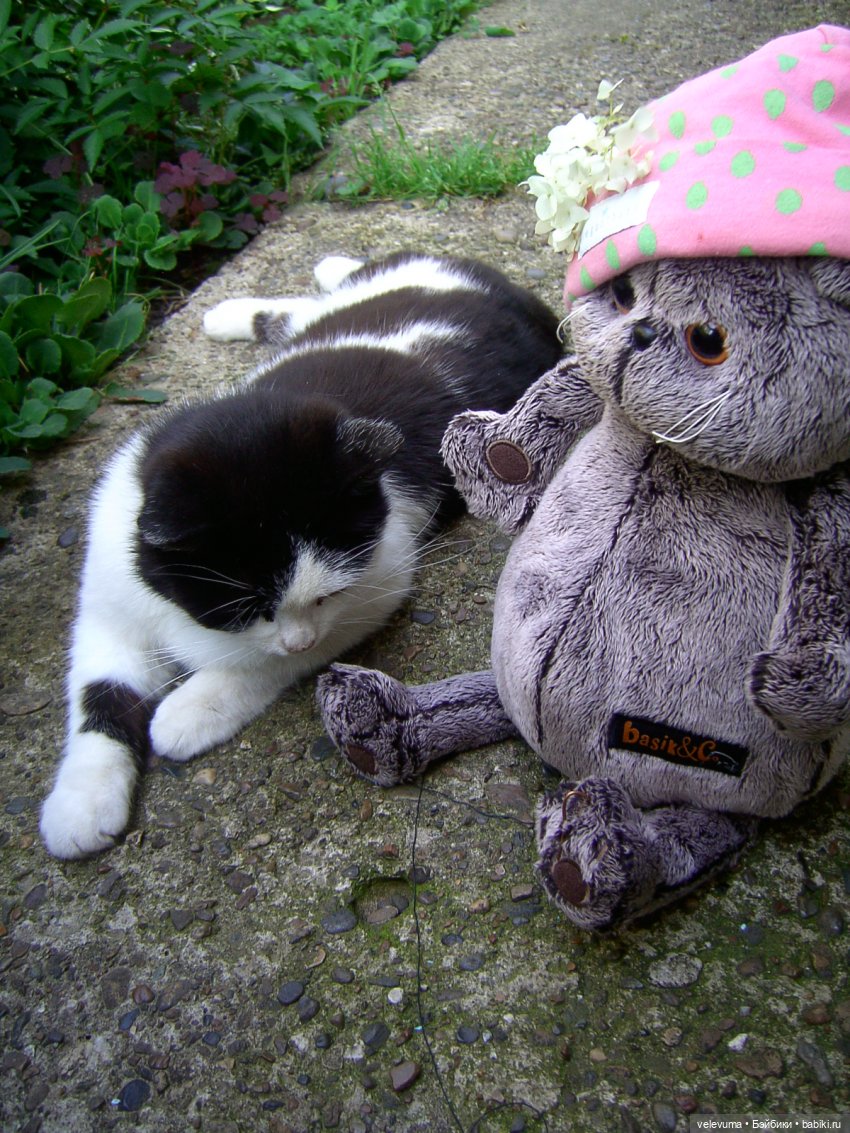 мягкие игрушки