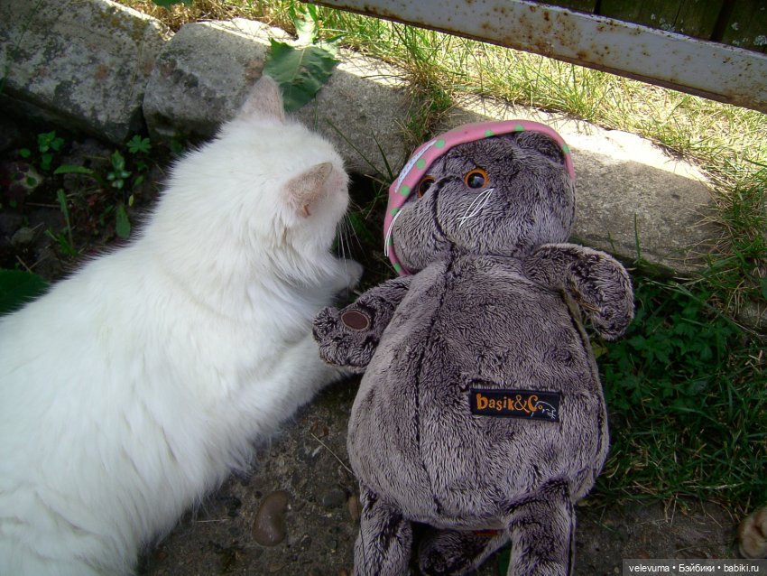 мягкие игрушки