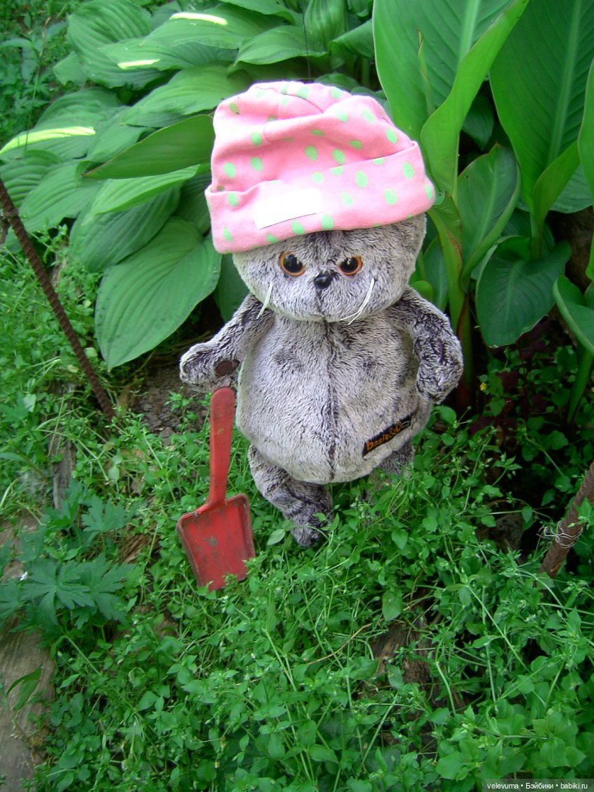 мягкие игрушки