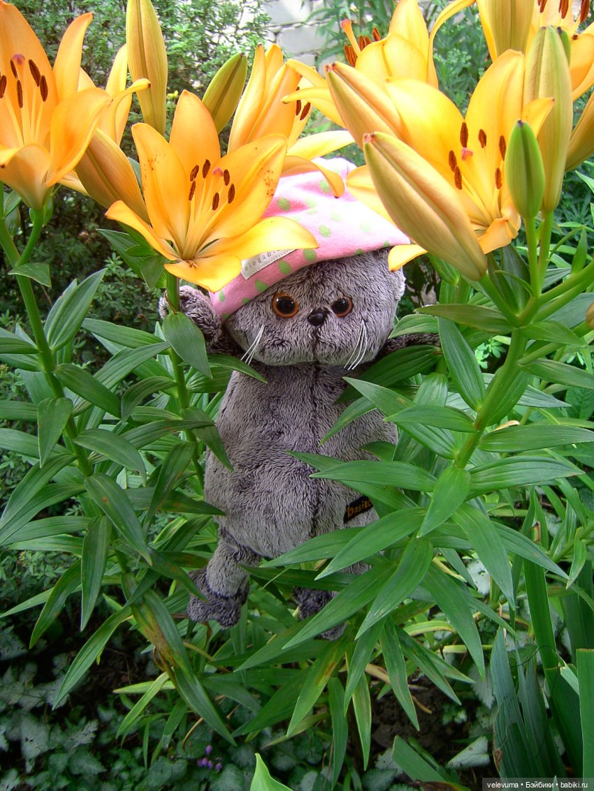 мягкие игрушки