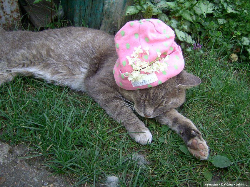 Рыбалка, коты и поэзия — Интересные игрушки и фигурки (разное): редкие