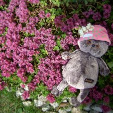 Рыбалка, коты и поэзия