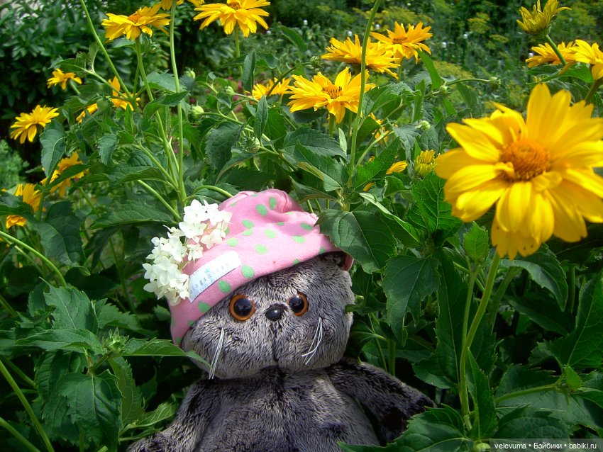 мягкие игрушки