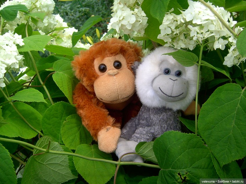 мягкие игрушки