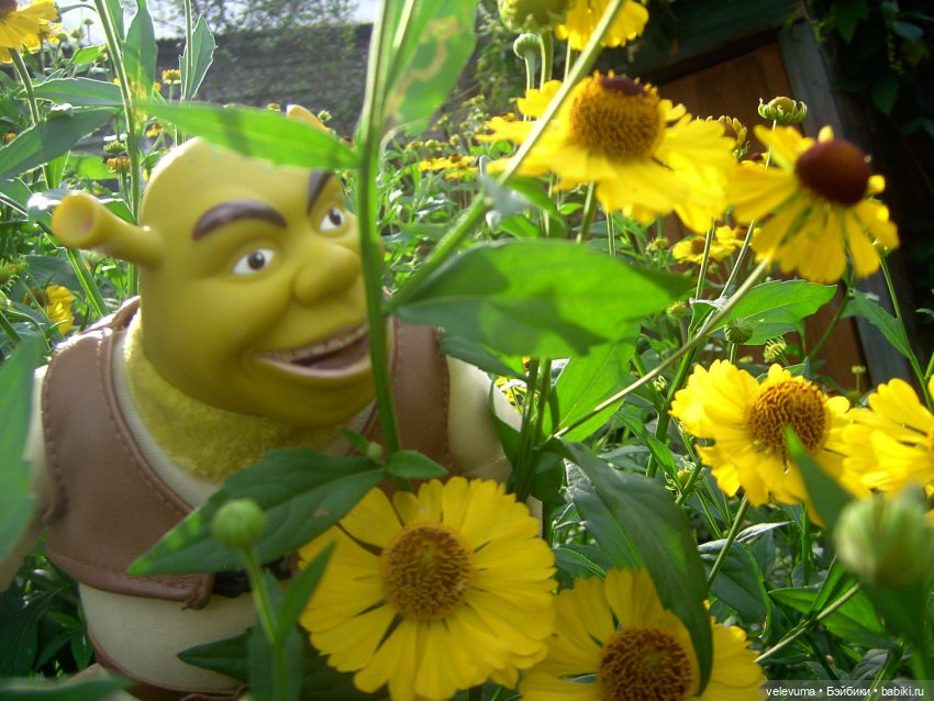 Пользуйтесь услугами Сказочной Почты (фото 2)