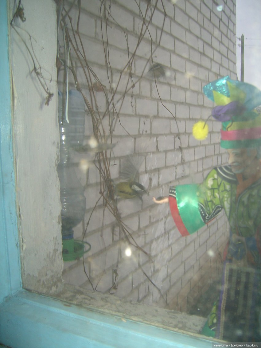 Зима: утепляемся и кормим птичек