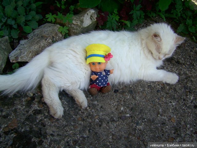 игровые