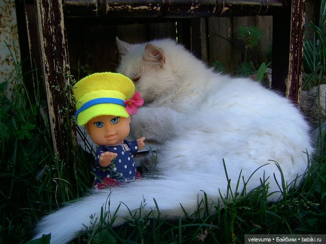 игровые