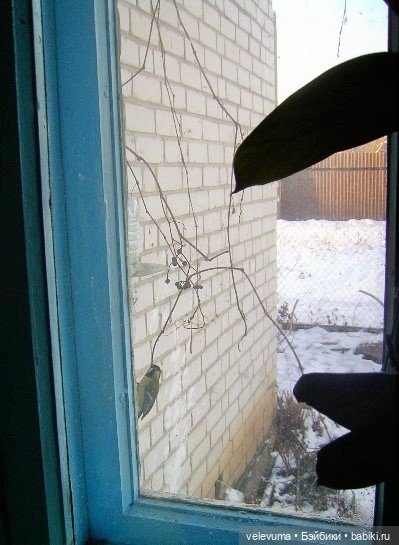 Приглашаем праздник в дом (фото 5)