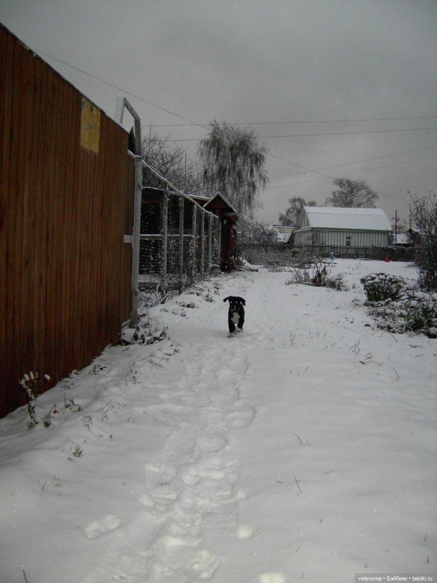 Приглашаем праздник в дом