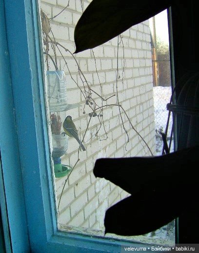 Приглашаем праздник в дом (фото 7)