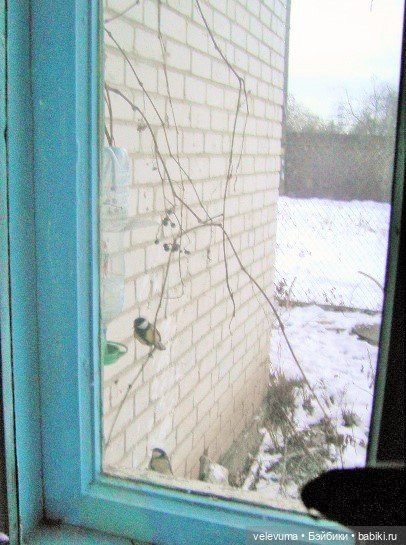 Приглашаем праздник в дом (фото 6)