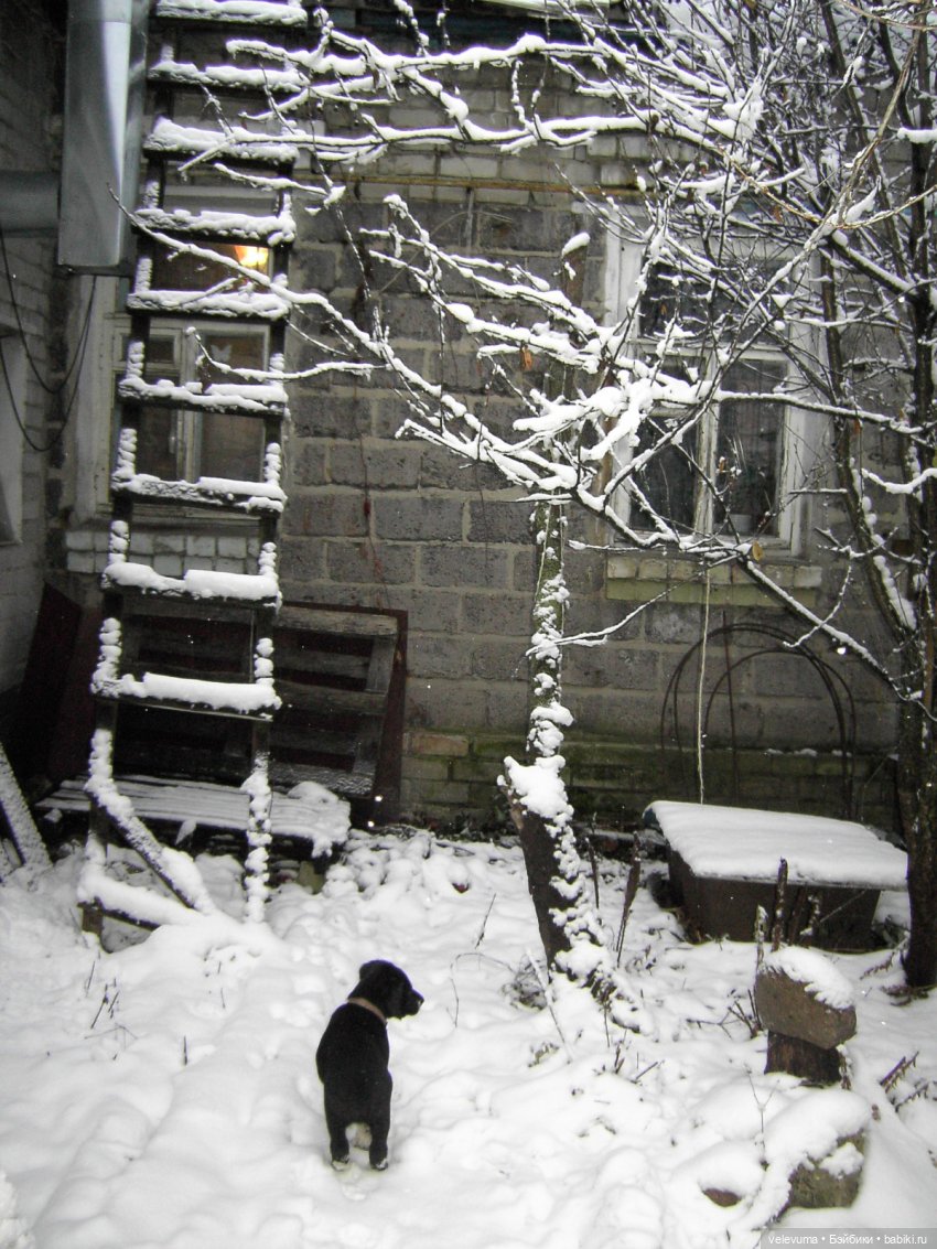 Приглашаем праздник в дом (фото 4)