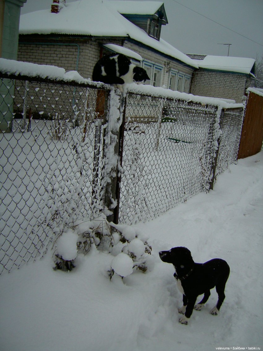 Приглашаем праздник в дом (фото 2)