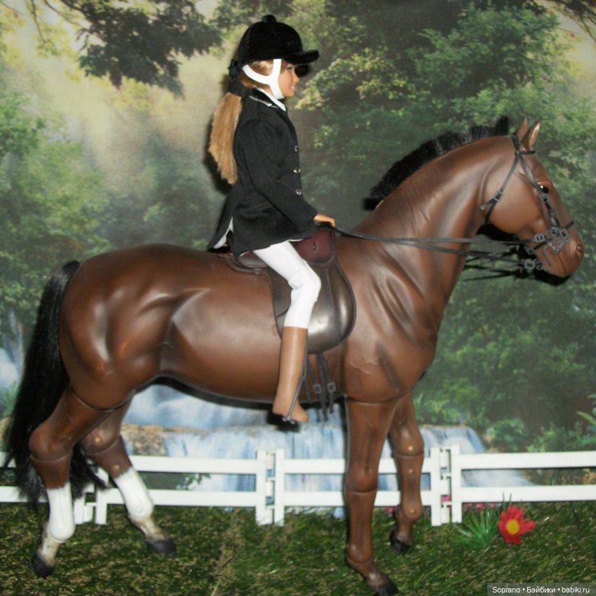 Конный спорт.