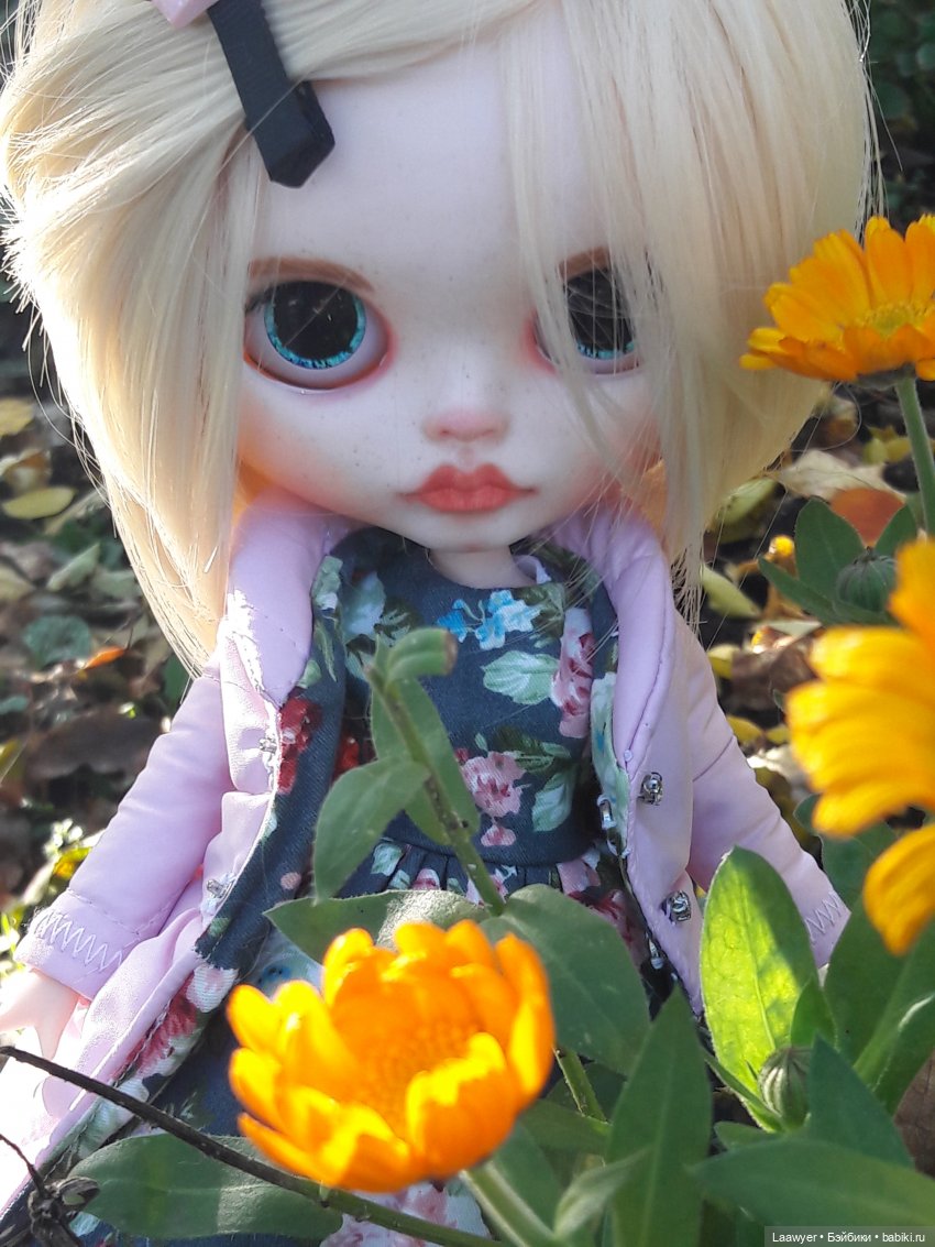 И снова, блайз — Куклы Blythe (Блайз) ООАК: кастом