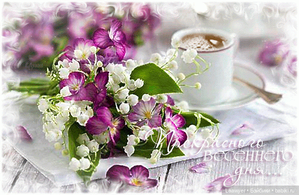 Гермиона "в салоне красоты" | Бэйбики Гермиона "в салоне красоты"