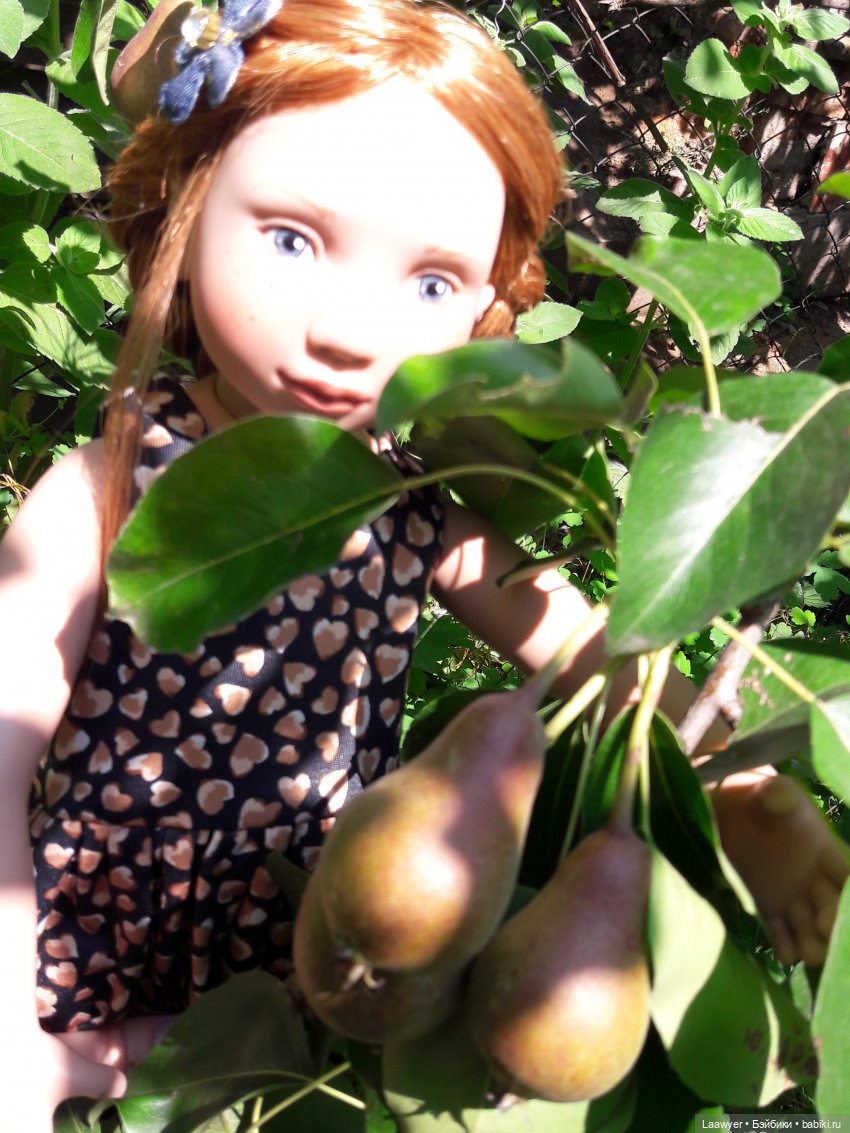 Мы выбираем, нас выбирают