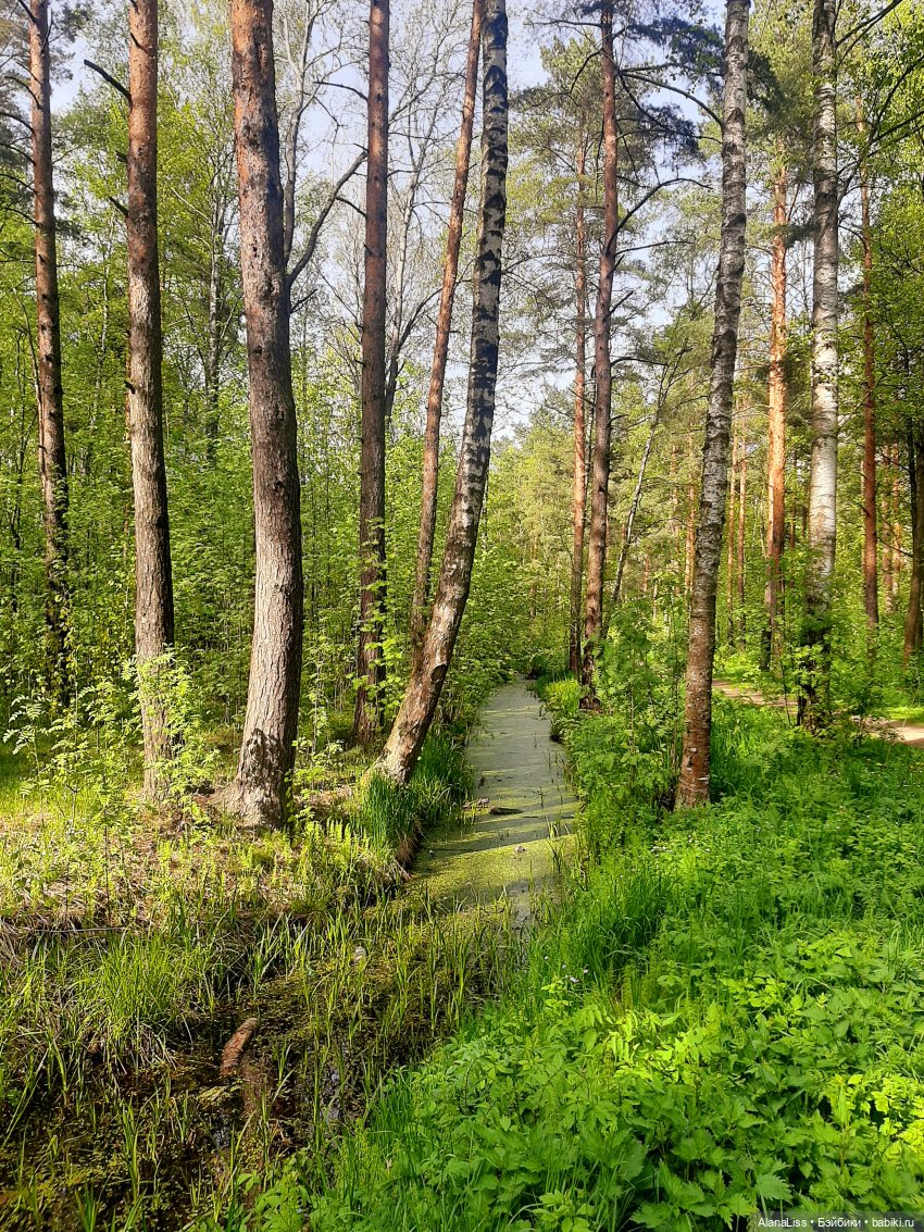 Если вы не так уж боитесь Кощея, или Бармалея и Бабу Ягу (фото 5)