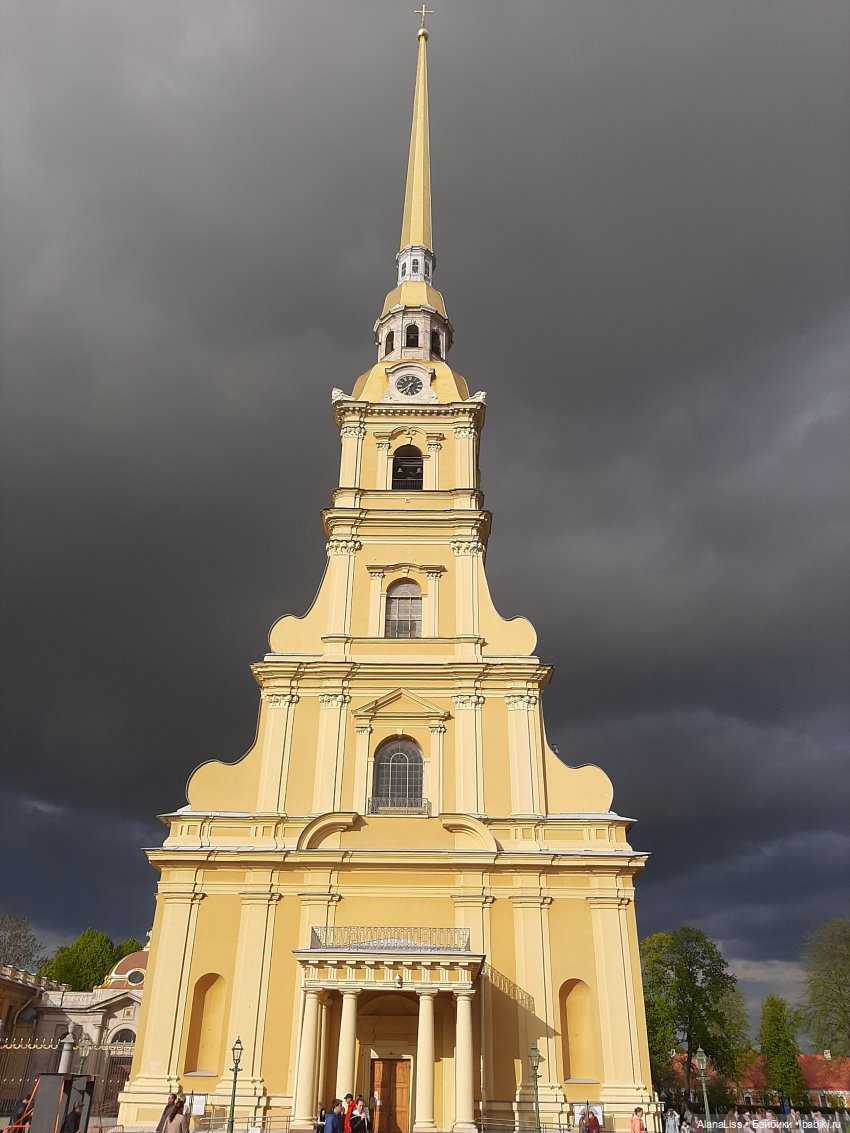 Санкт-Петербург - гордая белая птица