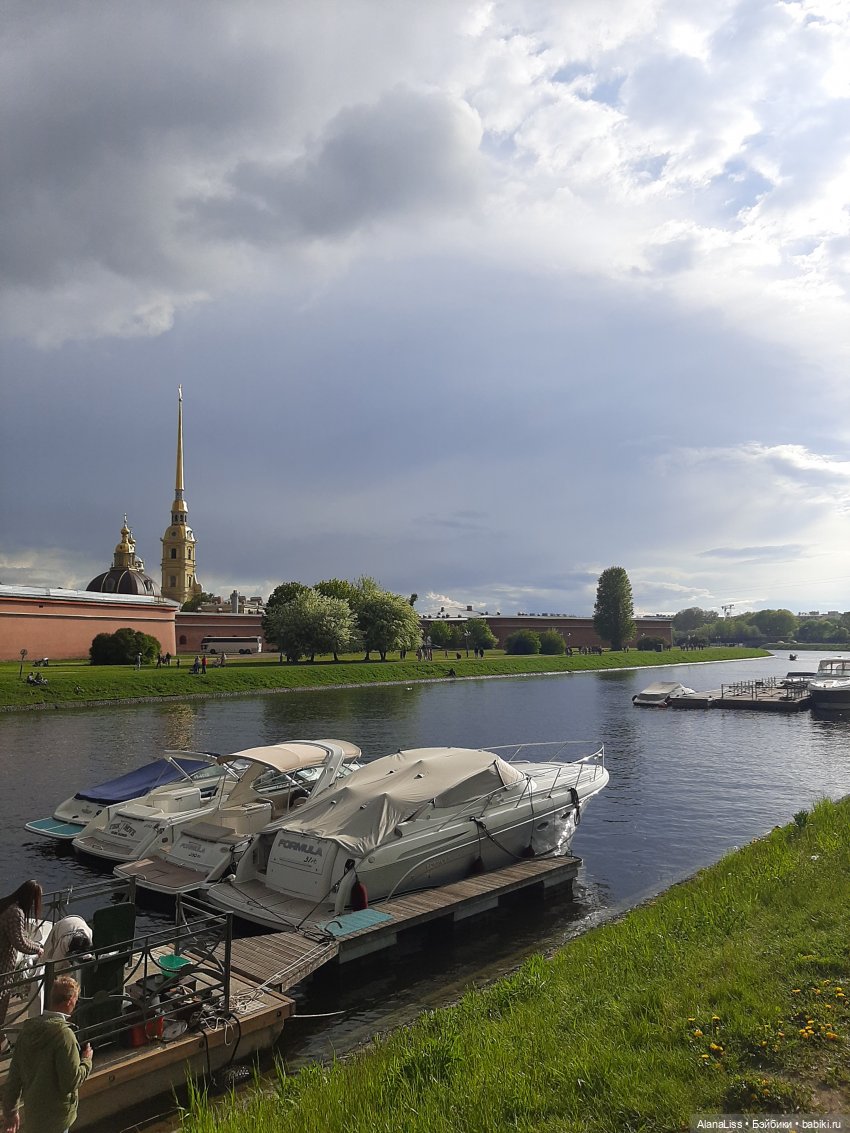 Санкт-Петербург - гордая белая птица (фото 8)