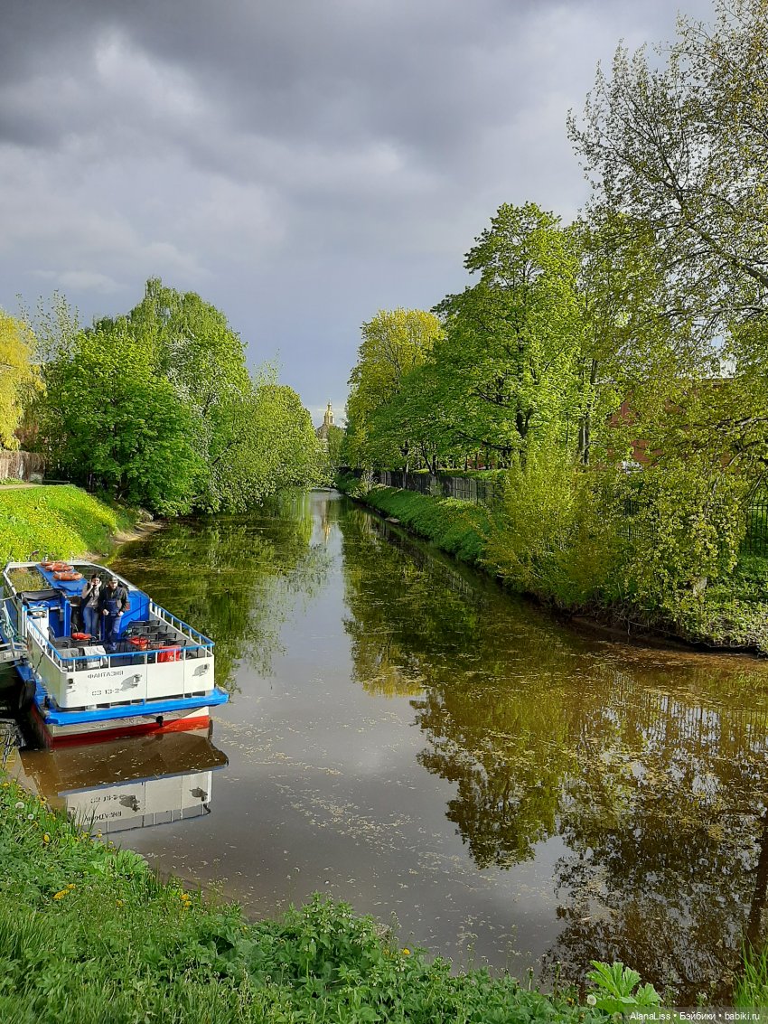 Санкт-Петербург - гордая белая птица (фото 7)