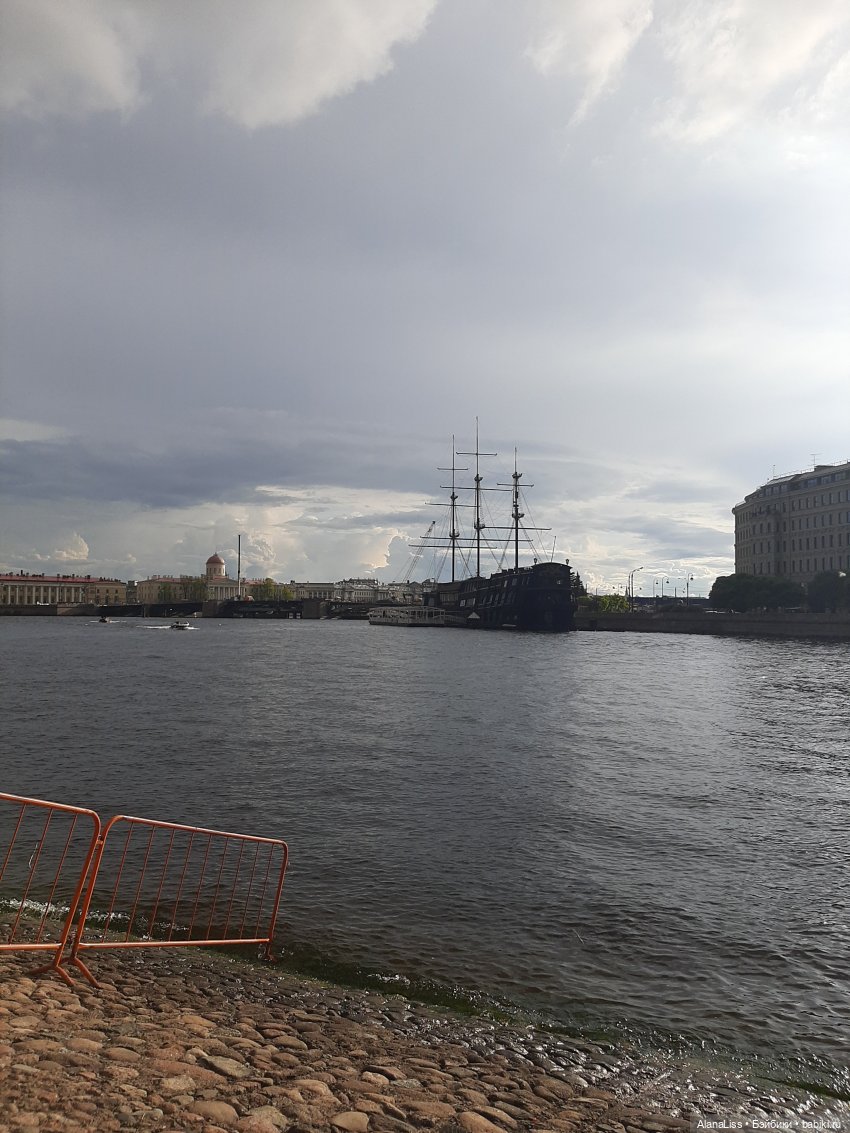 Санкт-Петербург - гордая белая птица